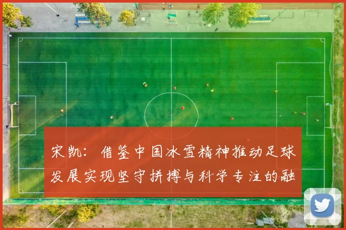 宋凯：借鉴中国冰雪精神推动足球发展实现坚守拼搏与科学专注的融合
