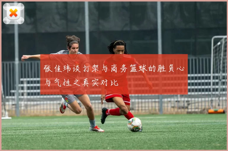 张佳玮谈打架与商务篮球的胜负心与气性之真实对比